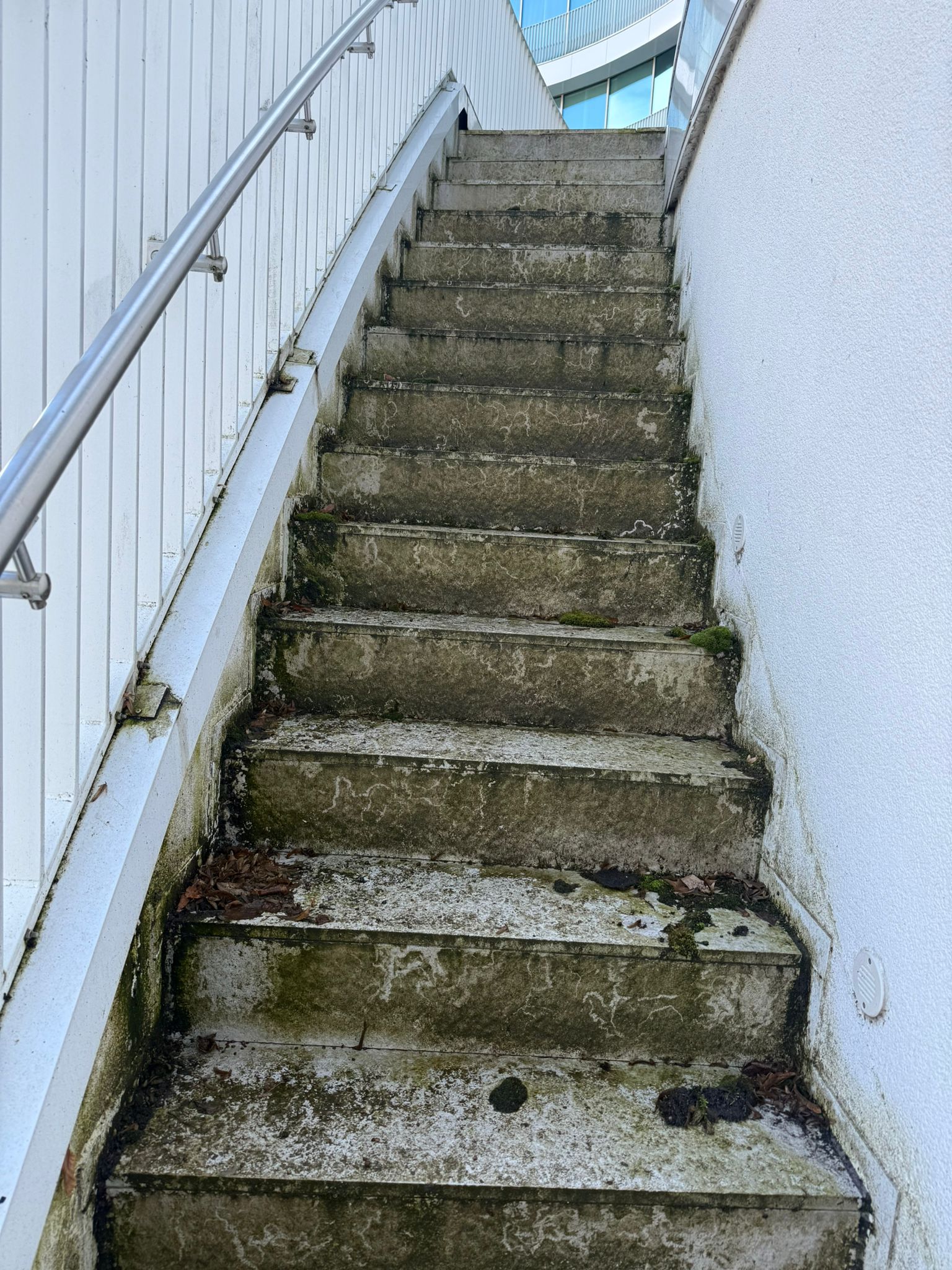 Garten-Treppe in Scharbeutz vor der Reinigung